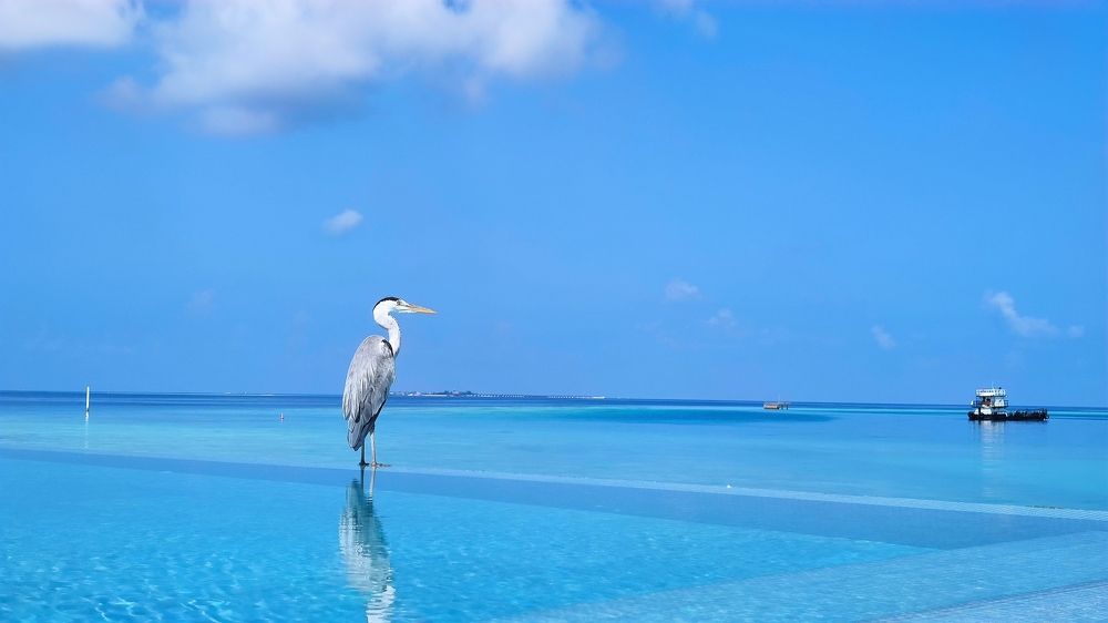 Photograph by Yulian Mr