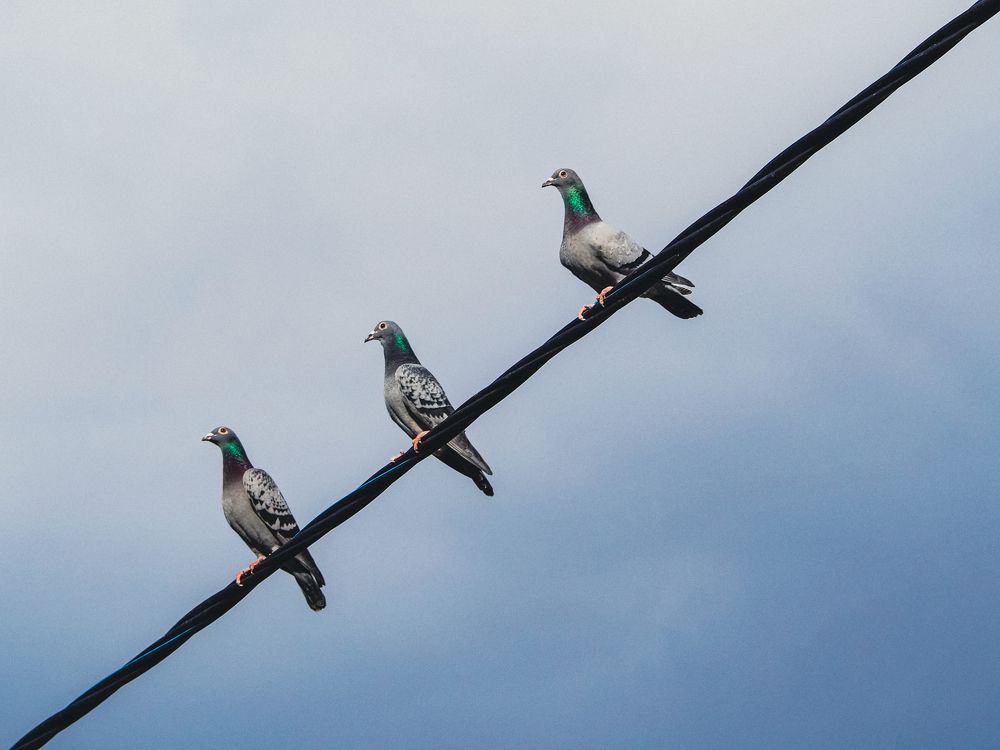 Photograph by Sasha German