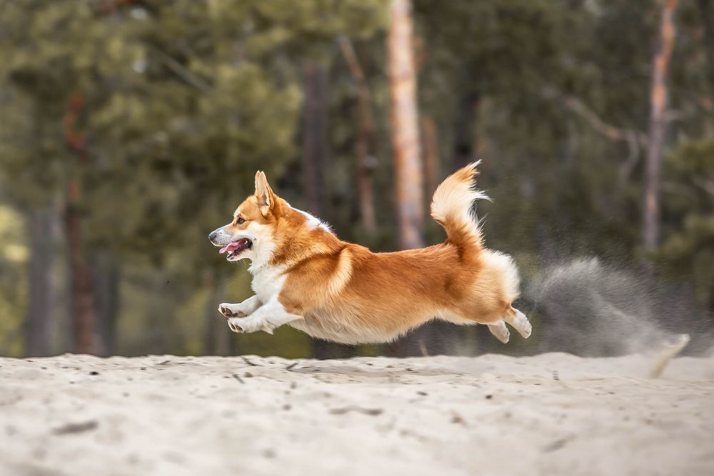 Photograph by Irina Khrustalova