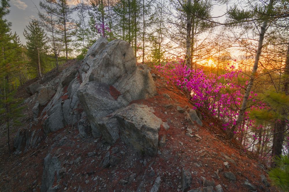 Photograph by Дмитрий Портных