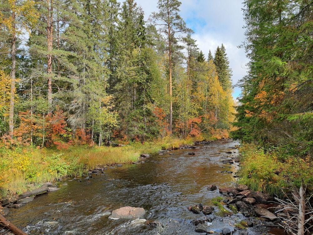 Сентябрьская Карелия