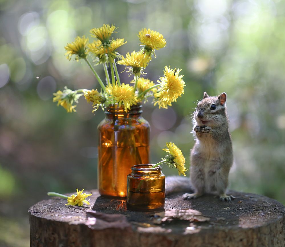 Photograph by Евгения Левина