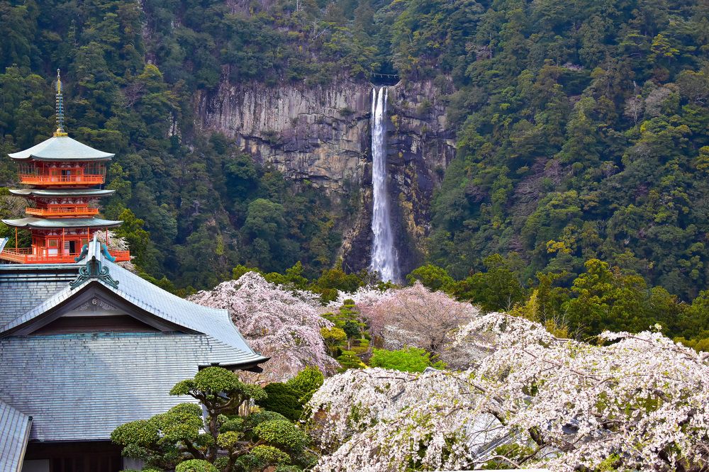 Фотография автора Sen Abhijit