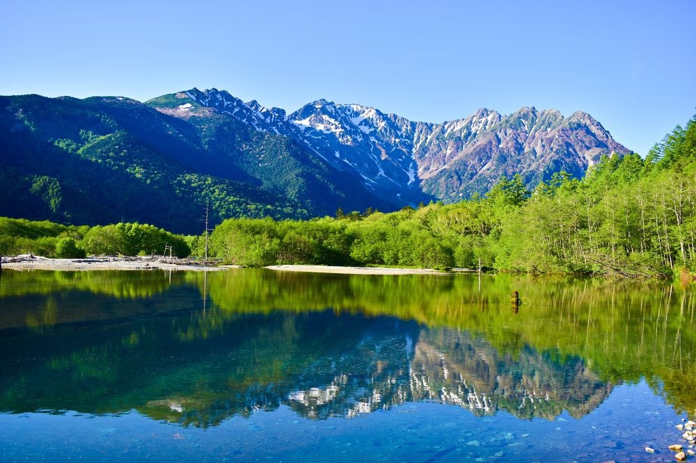 Фотография автора Sen Abhijit