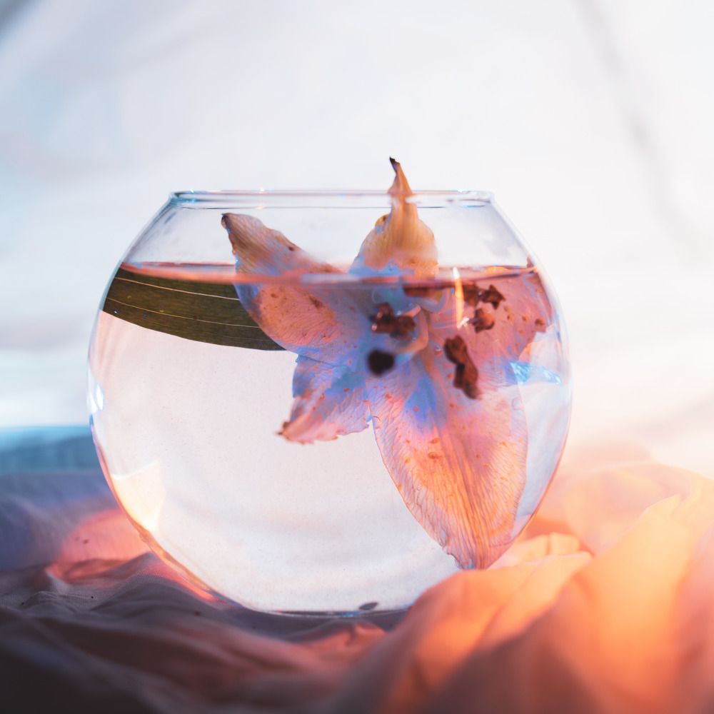 Photograph by Ксюша Черотченко