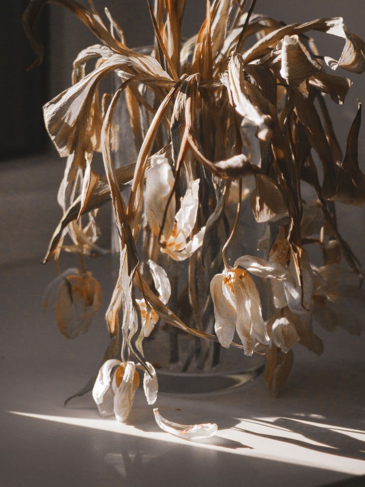 Photograph by Ксюша Черотченко