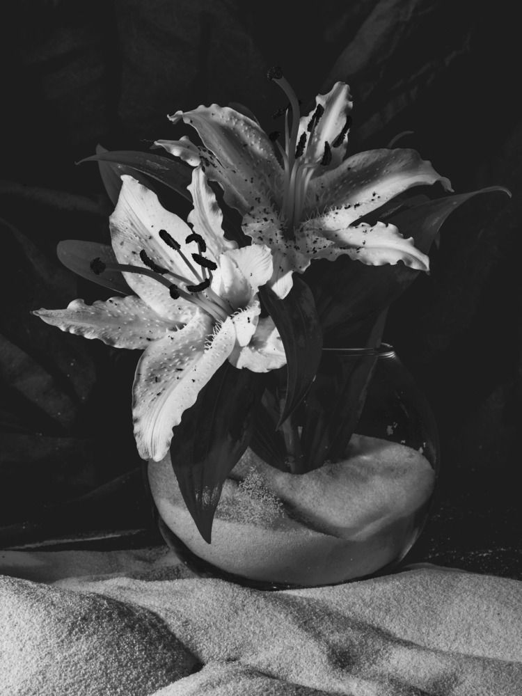 Photograph by Ксюша Черотченко