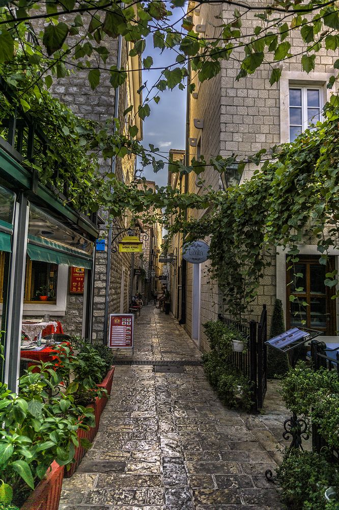 Фотография автора Milena Ivanova