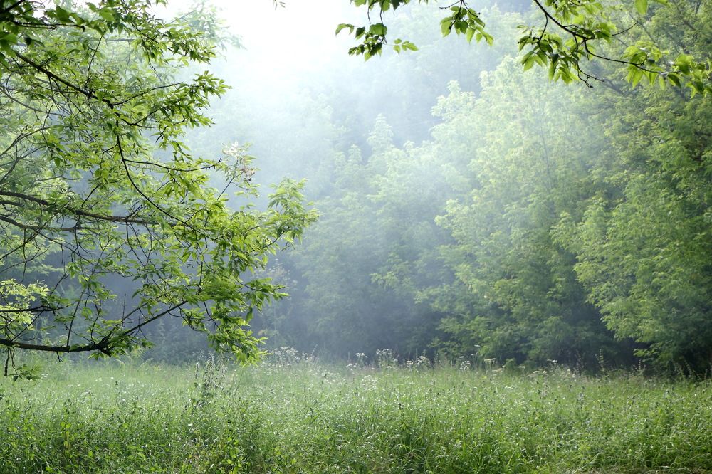 Photograph by Сергей