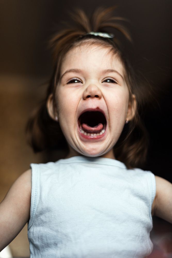 Фотография автора Анастасия Войналович