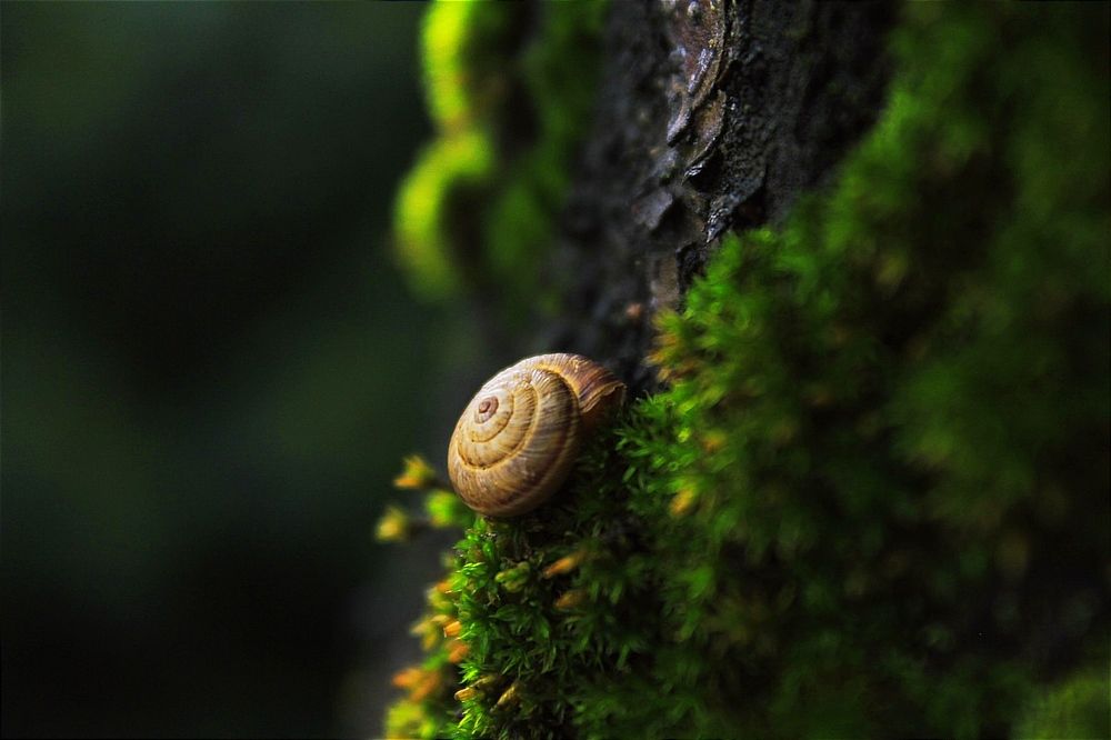 Photograph by Dragana Krivokapic