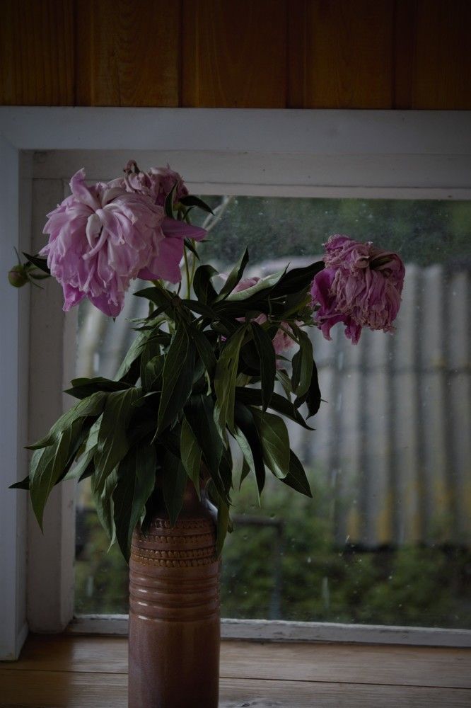 Photograph by Ирина Фатеева