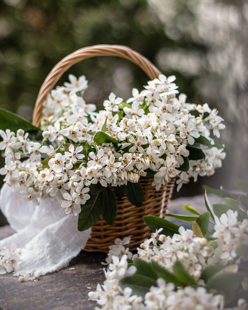 Photograph by Natalja Filippova