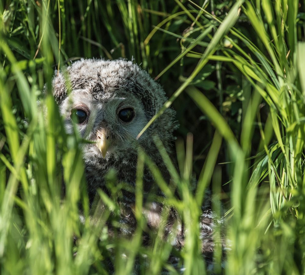 Фотография автора Виктор Руденко