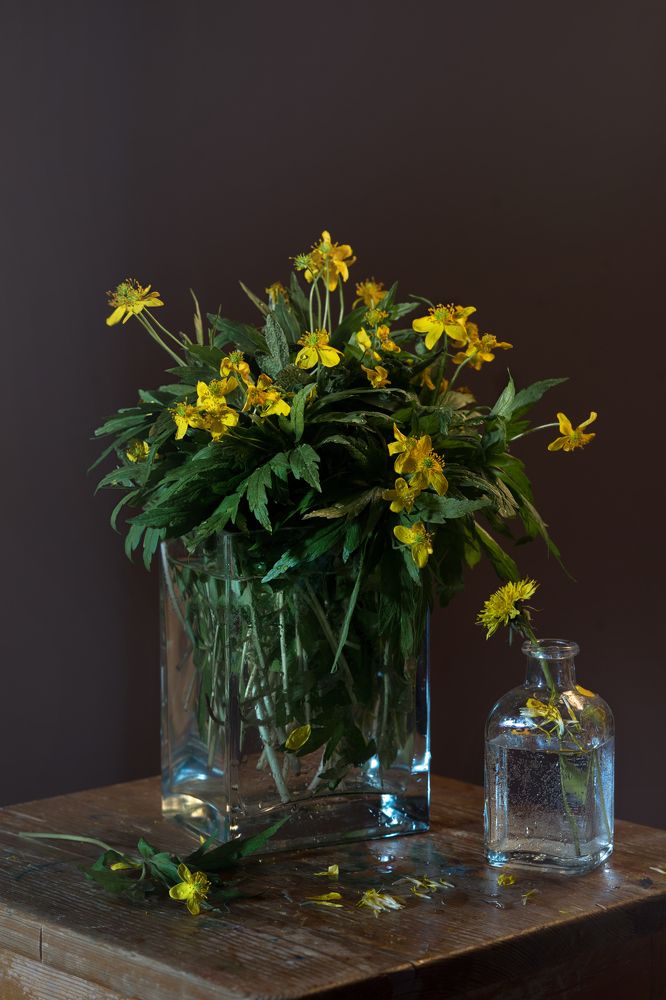 Photograph by Татьяна Карцева