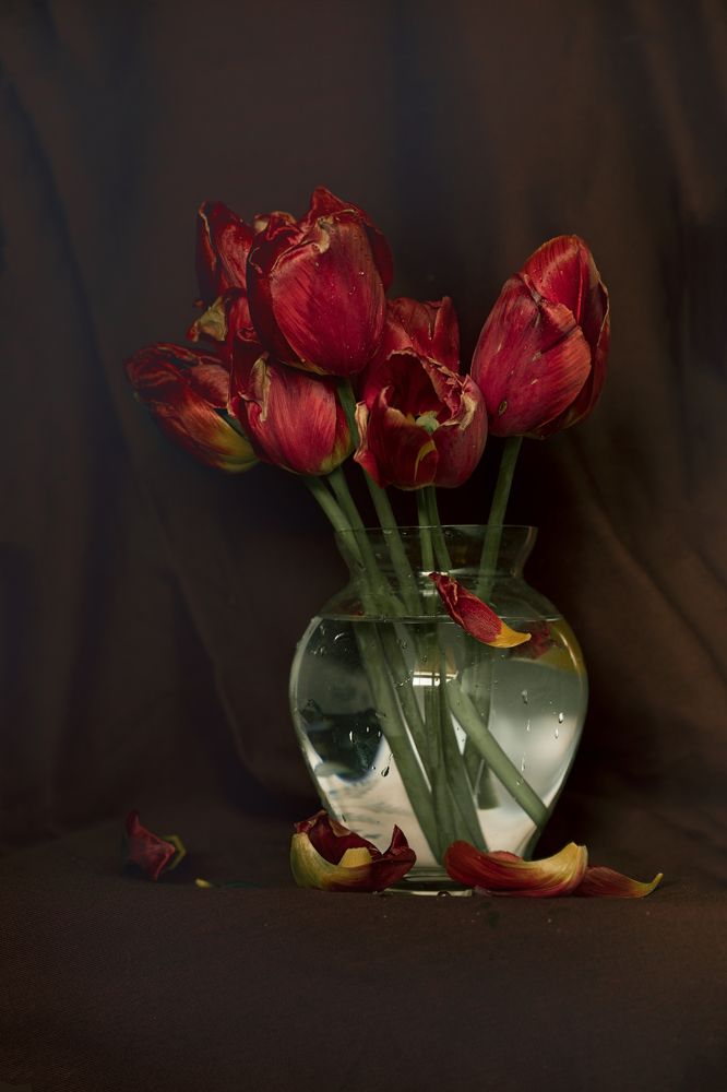 Photograph by Татьяна Карцева