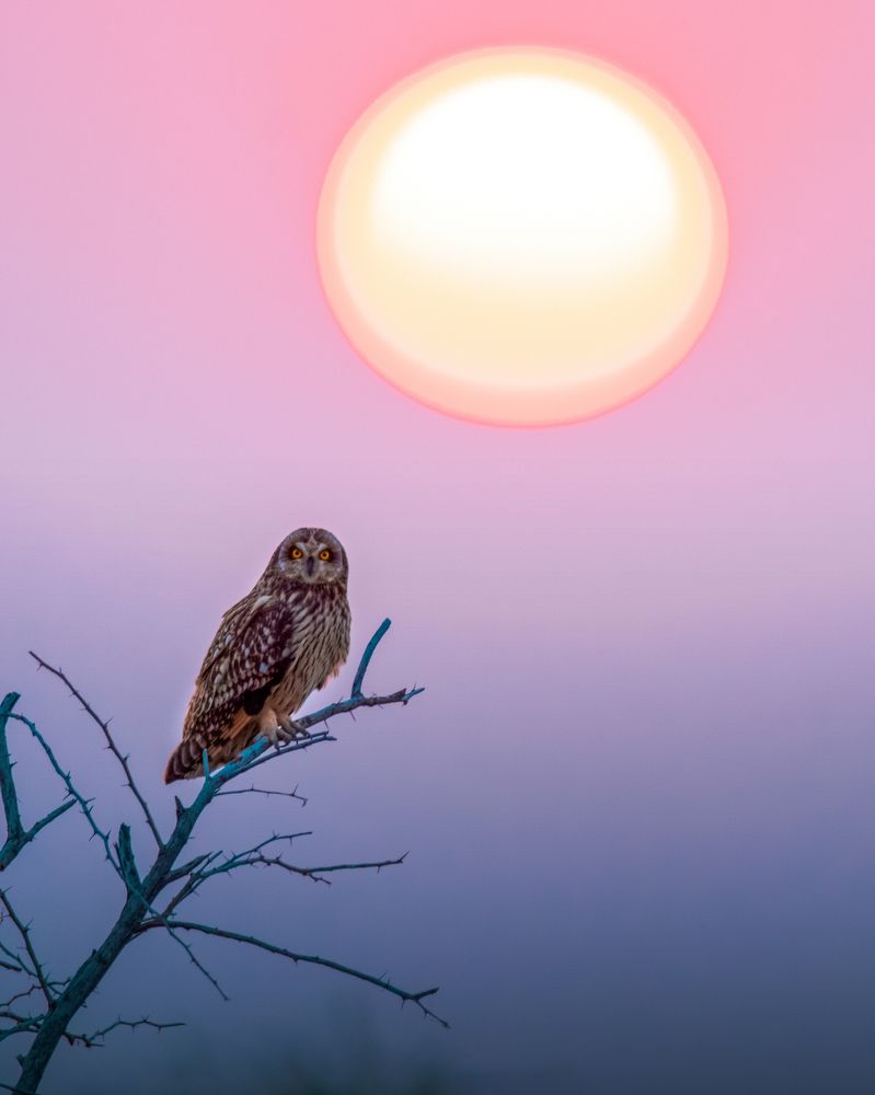 Photograph by Prince sakhiya