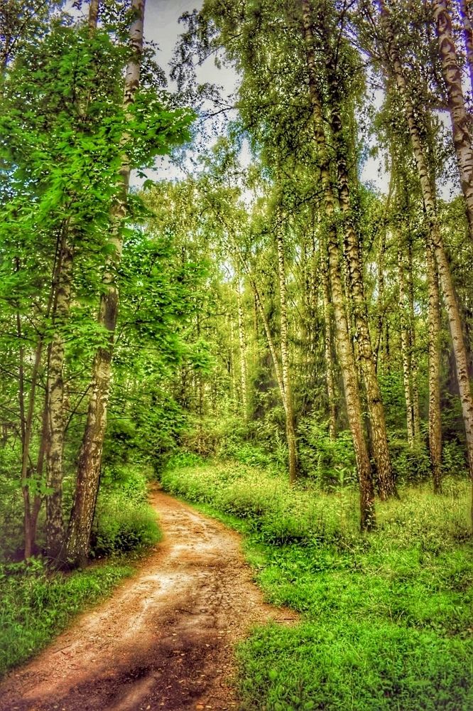 Photograph by Аркадий Коновалов