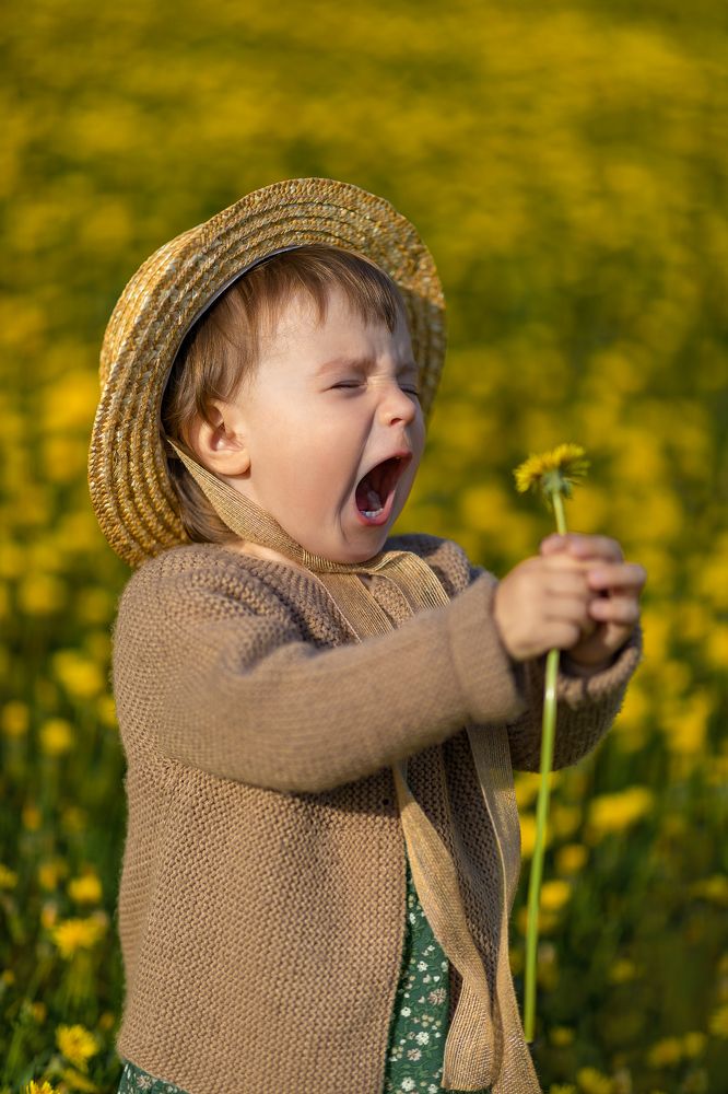 Фотография автора Зоя Галимова