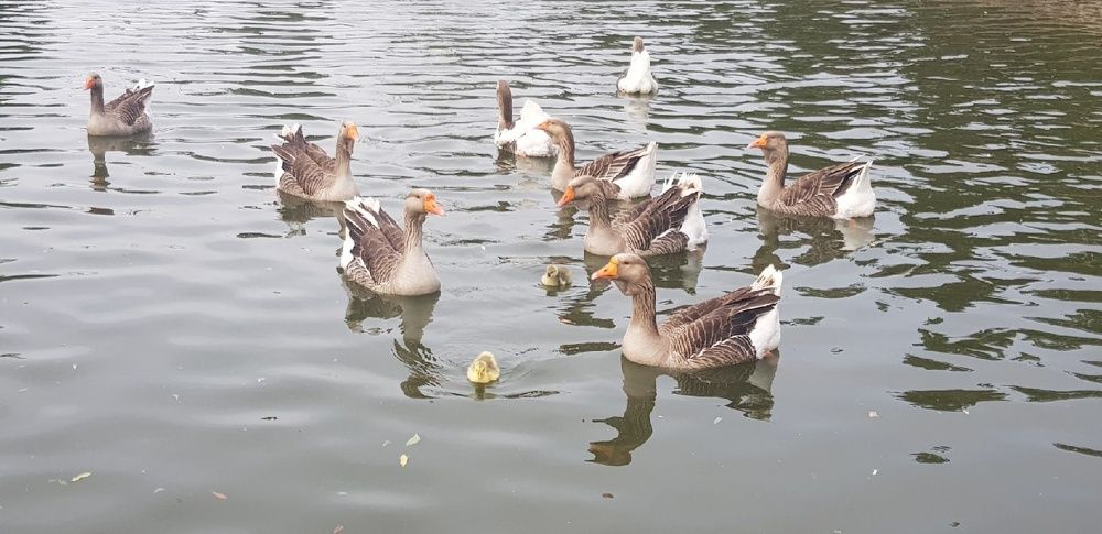 Фотография автора Ольга Мусина