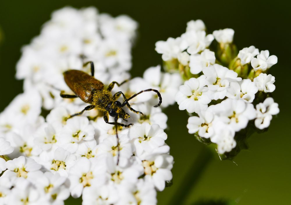 Photograph by Юрий Бичеров