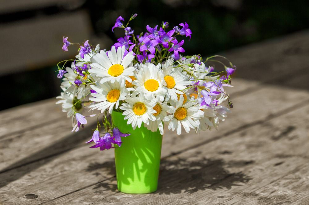 Photograph by Татьяна Семенова