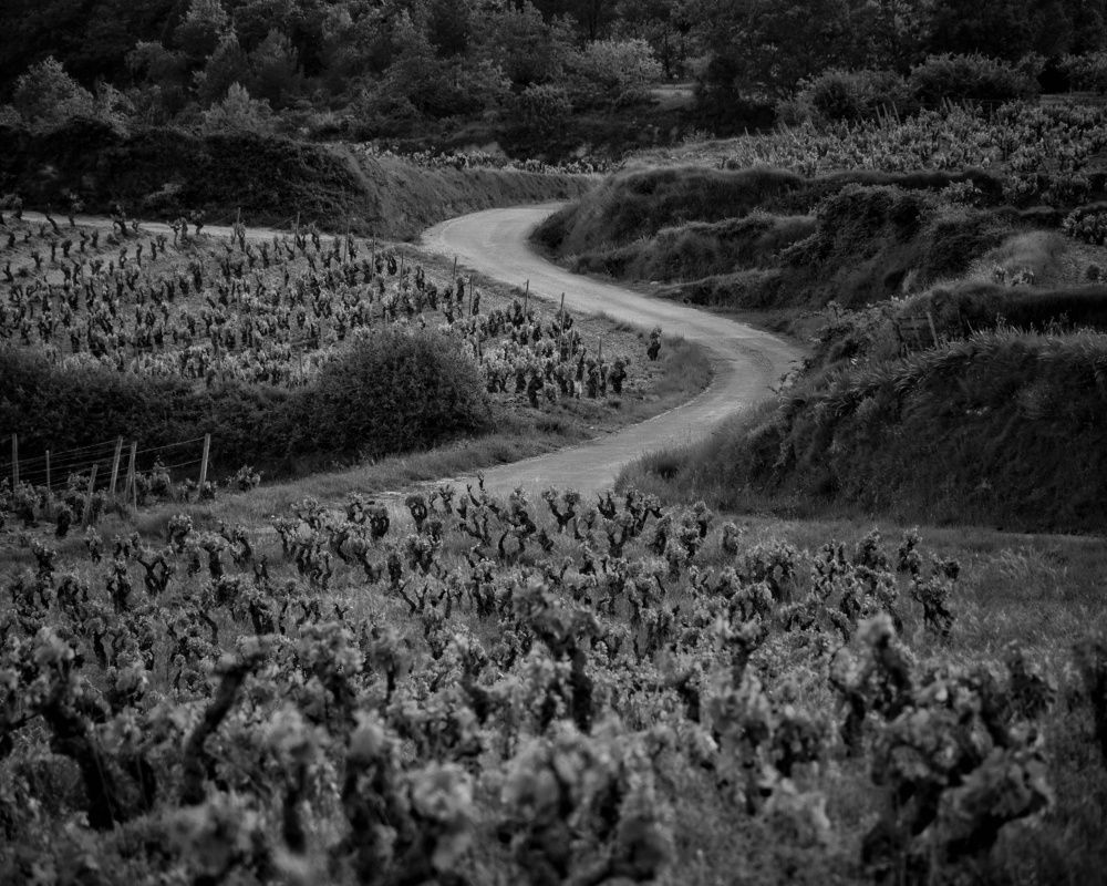 Photograph by José Ramón Domínguez