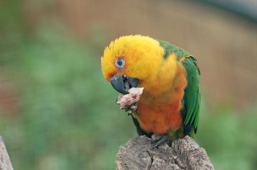 Photograph by Andreas Symeonidis