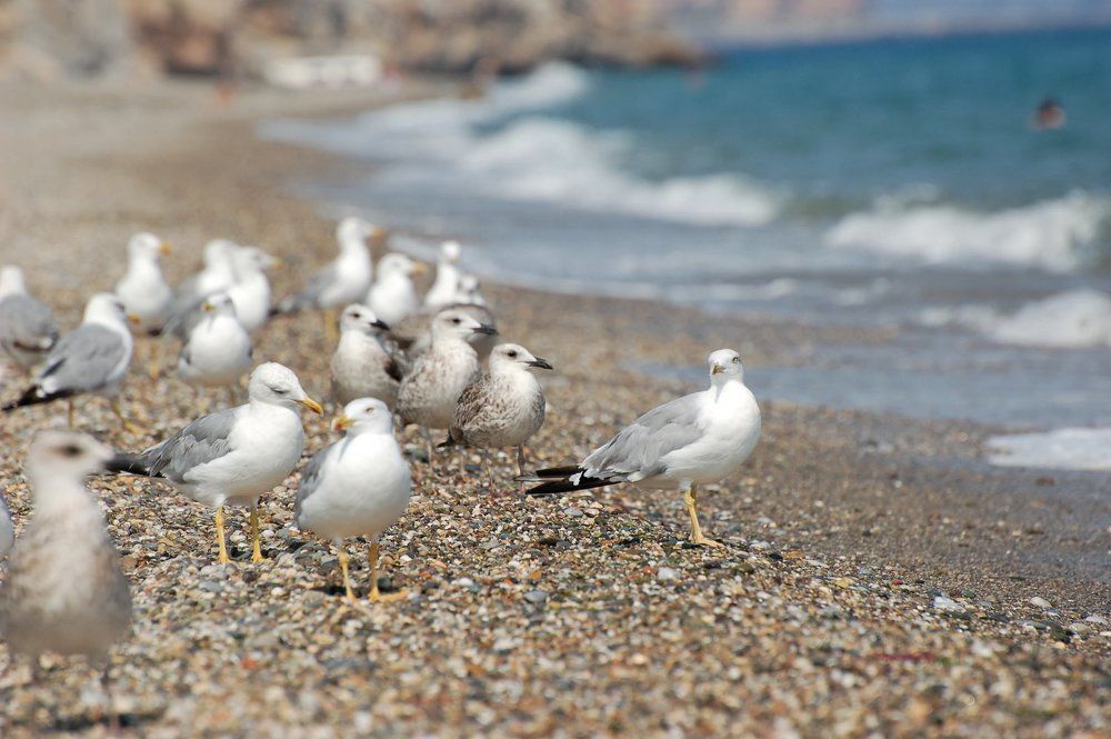 Photograph by Andreas Symeonidis