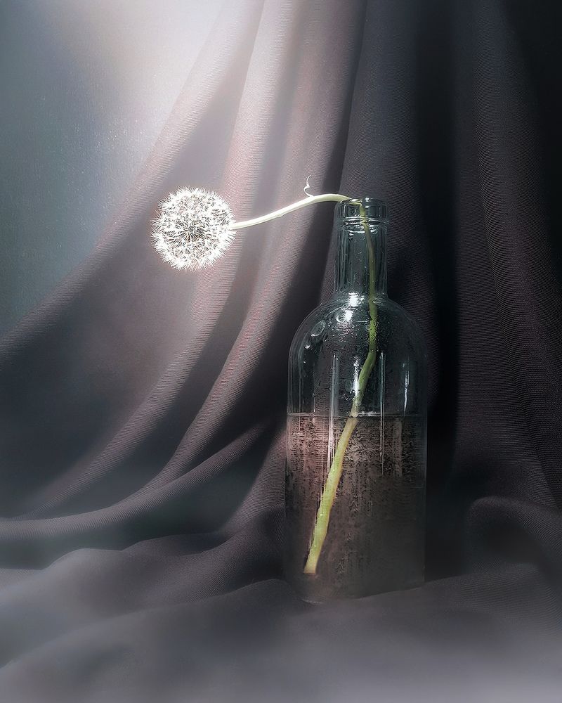 Photograph by Алена Круглик