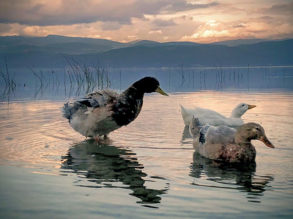 Photograph by Andreas Symeonidis