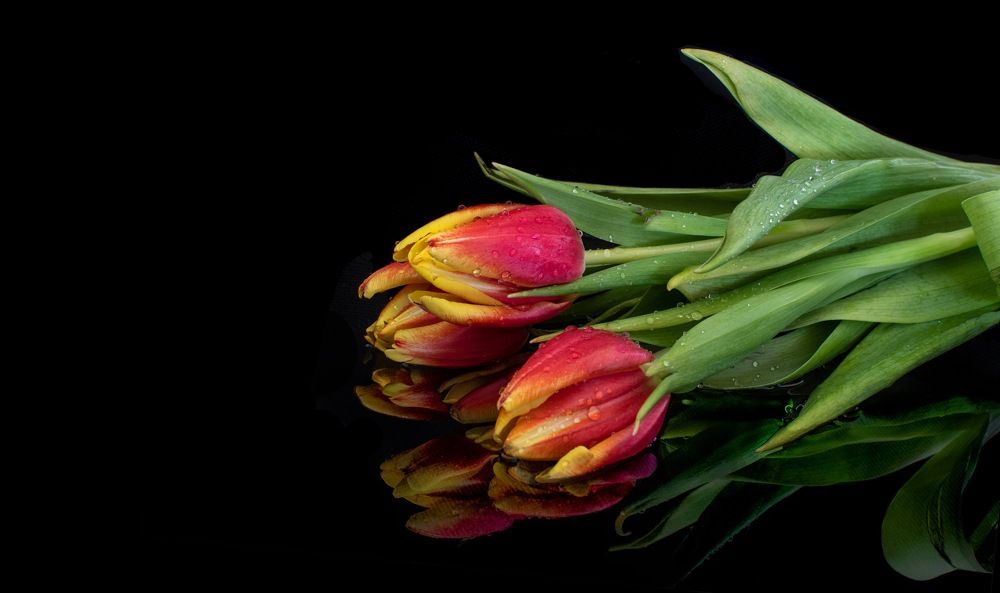 Photograph by Andreas Symeonidis