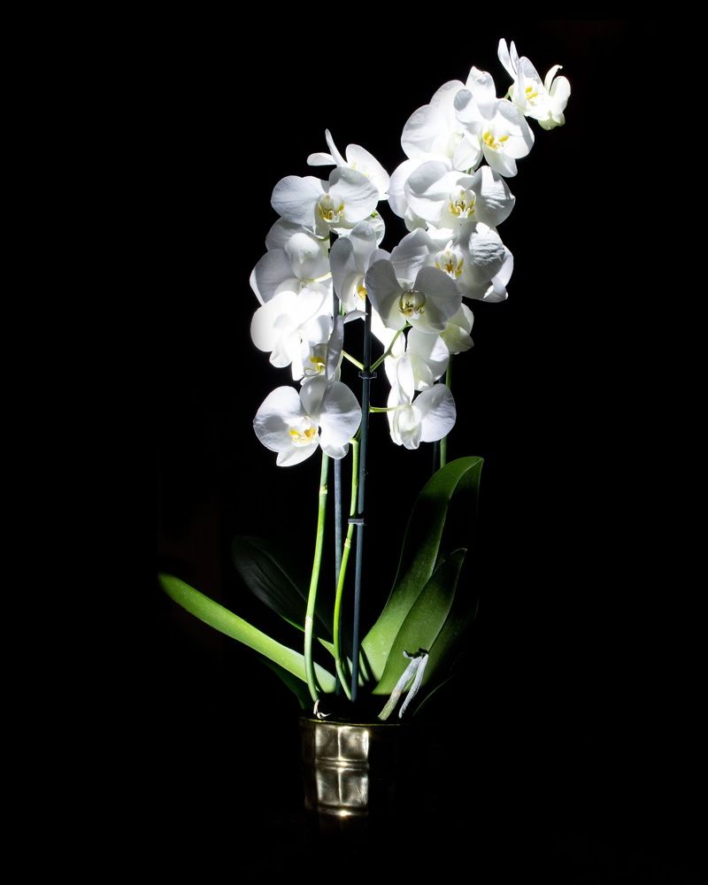 Photograph by Andreas Symeonidis