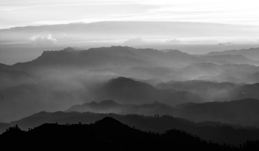 Photograph by Sameera Madusanka