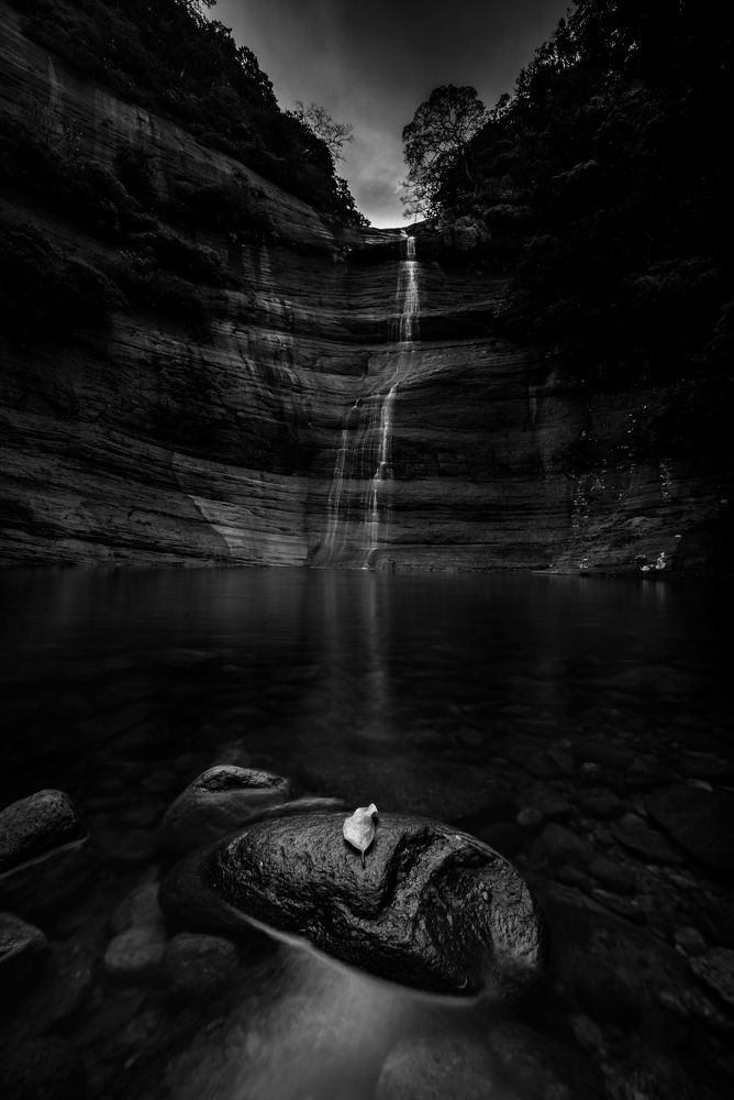 Photograph by Sameera Madusanka