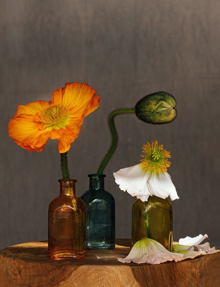 Photograph by Ксения Лаевская