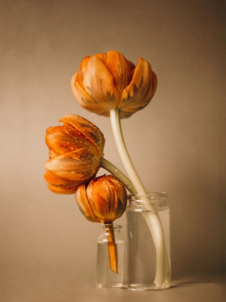 Photograph by Ксения Лаевская