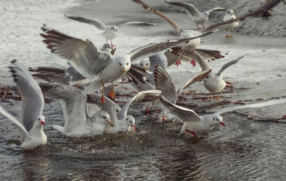 Photograph by Natalia Kalugina