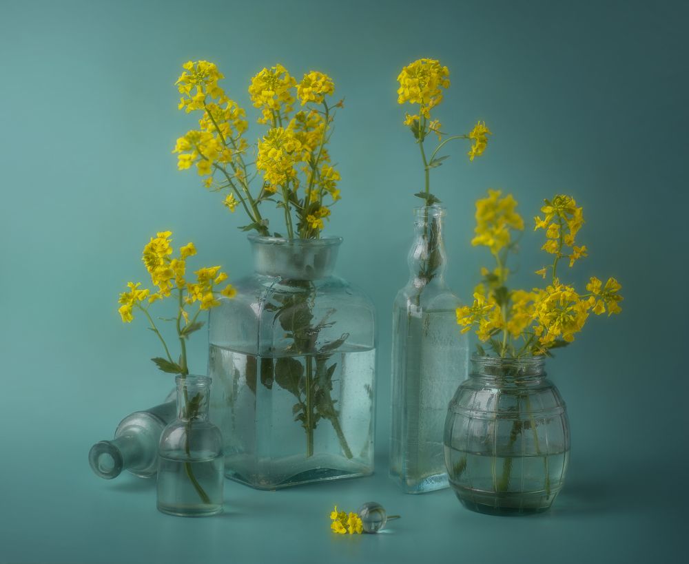 Photograph by Svoboda Andreeva