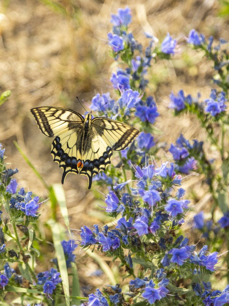 Фотография автора Валерий Каргин