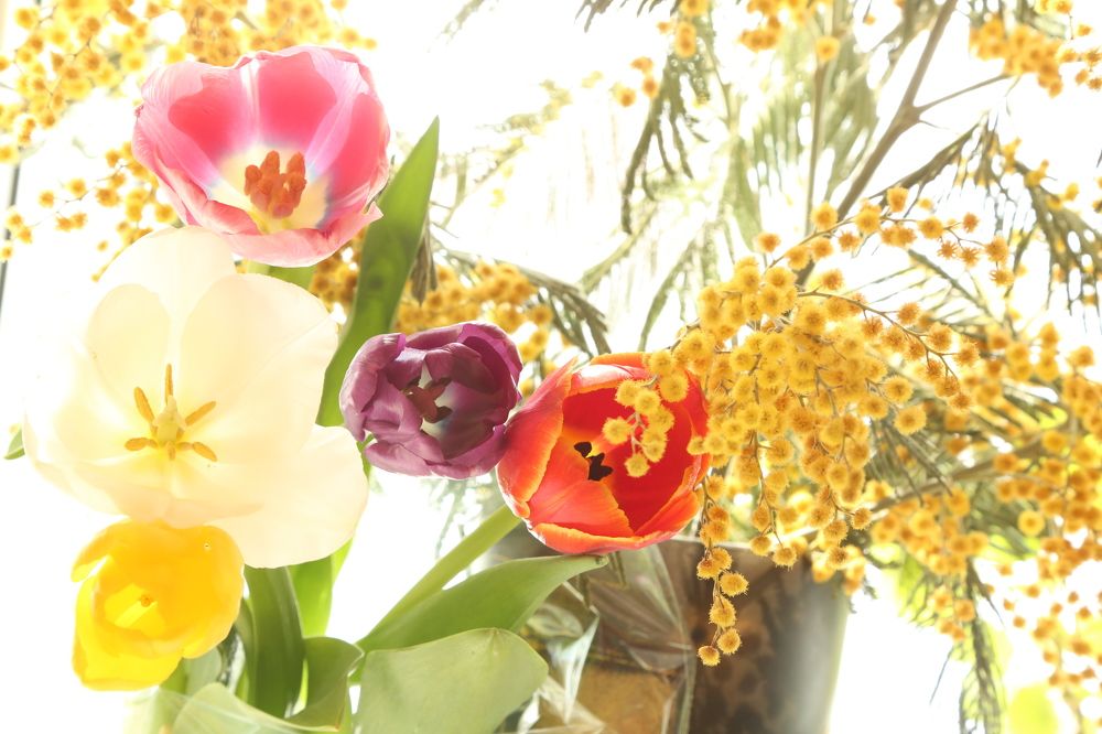 Фотография автора Валерий Каргин