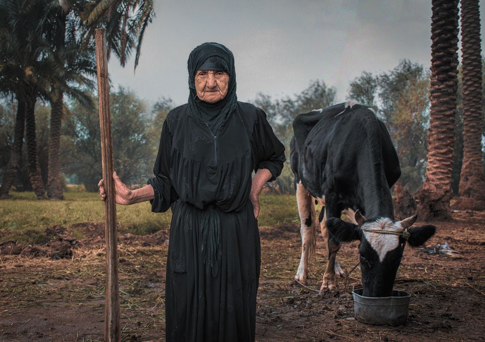 Rural life in Iraq