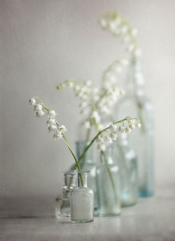 Photograph by Svoboda Andreeva