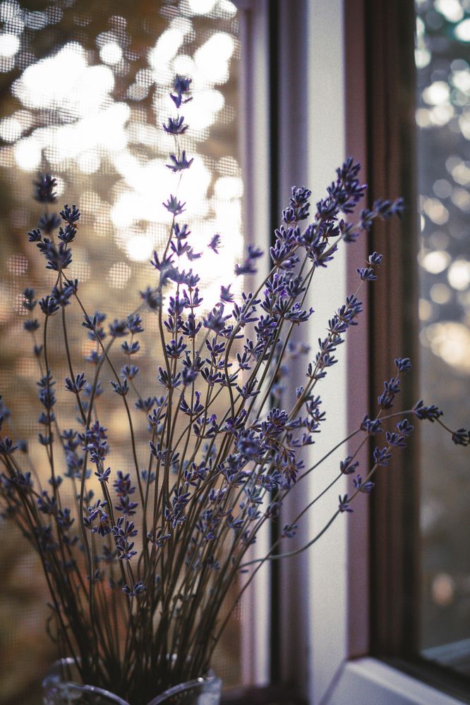 Photograph by Алёна Данильчук