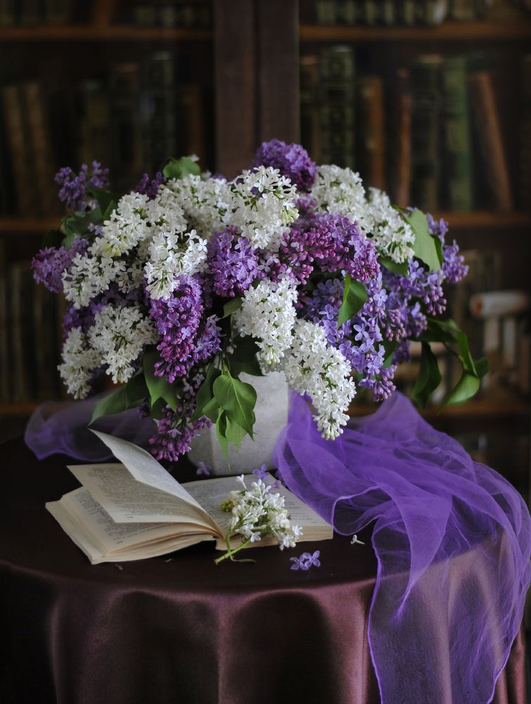 Photograph by Елена Панькова