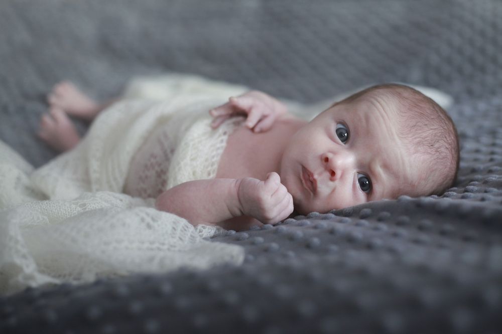 Photograph by Julia Filin