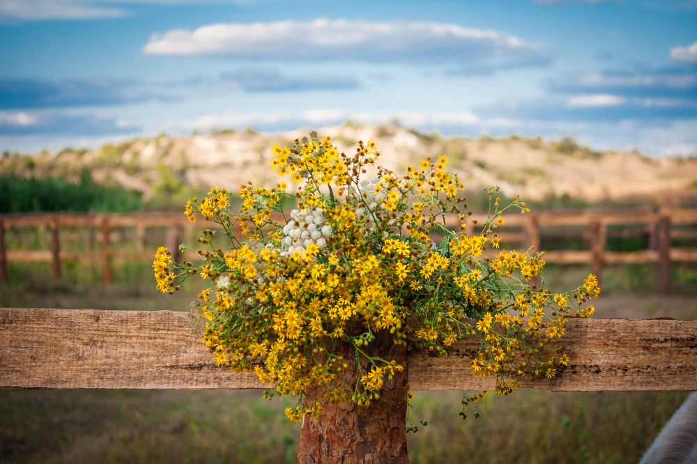 Photograph by Алёна Данильчук