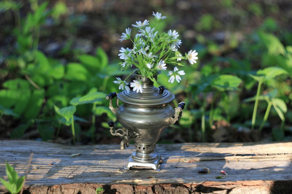 Photograph by Инна Карасева