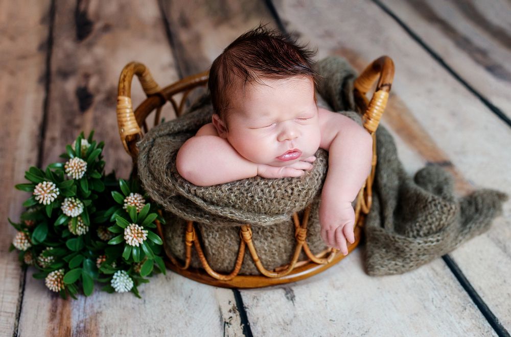 Фотография автора Михайлова Наталья