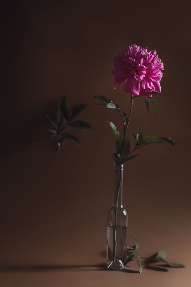 Photograph by Viktorija Jermolajeva